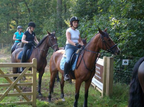 Ruiterbewijs weekend Horsetellerie - Visit Hardenberg